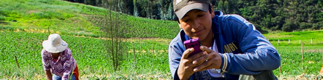 Portada Boletin trimestral - primer trimestre de 2014